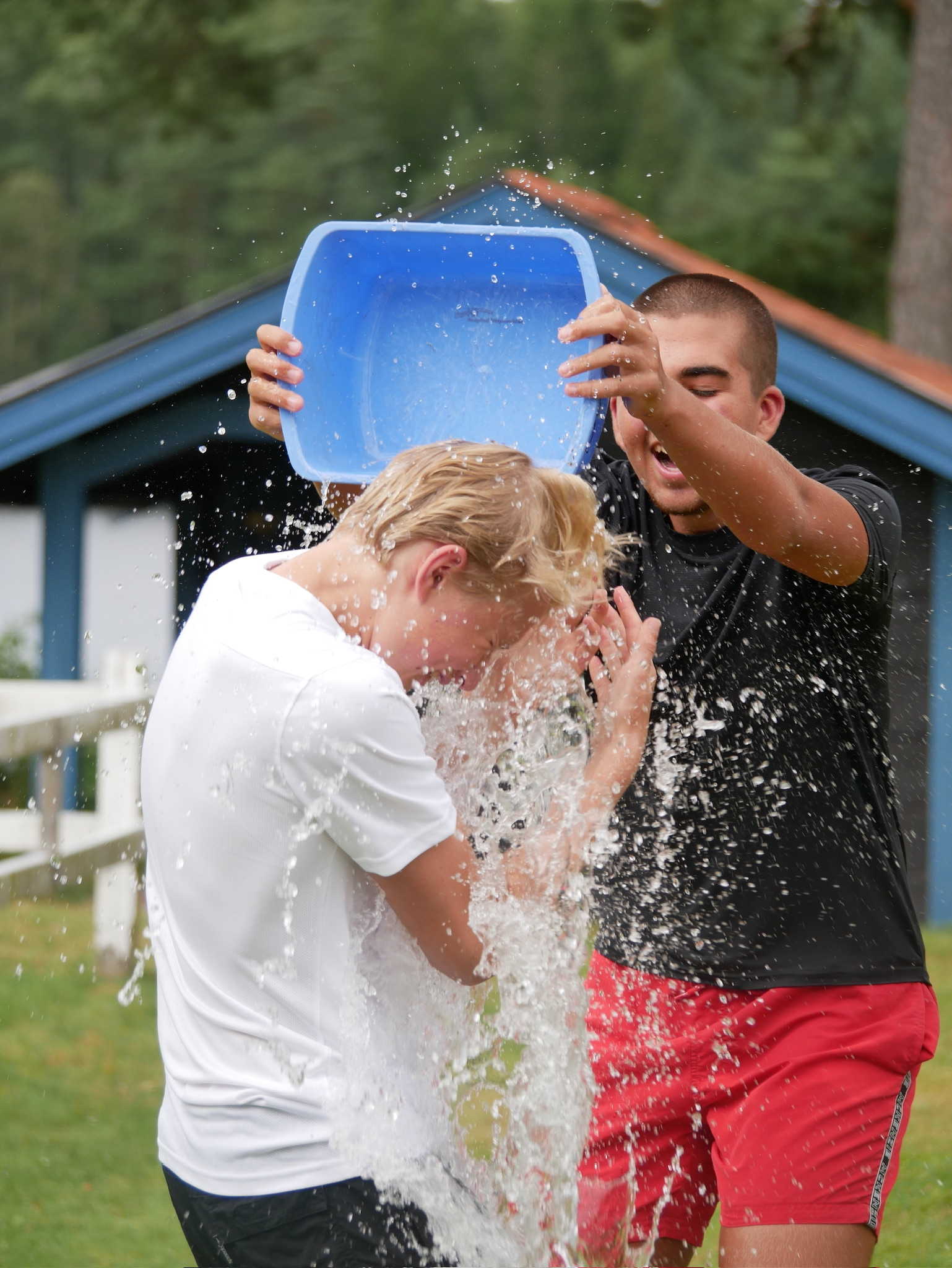 Gemenskap och vänskap